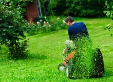 Kwikfynd Lawn Mowing
robertsonsbeach