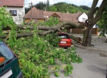 Kwikfynd Tree Cutting Services
robertsonsbeach
